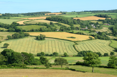 Devon agri-tech photo of fields