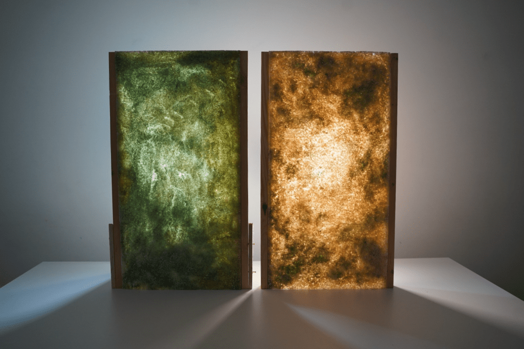 Photo of innovative building material developed by Tattva