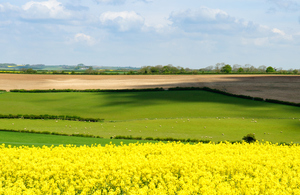 Fields with oil seed rape in the foreground